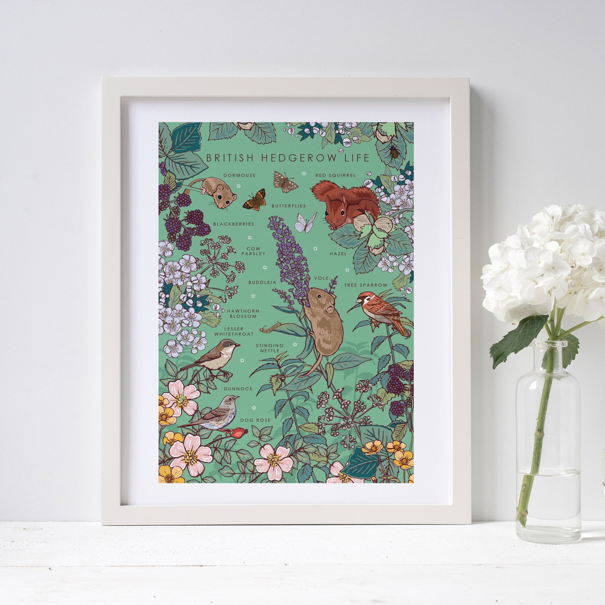 British Hedgerow Life Nature Guide Wall Art Print