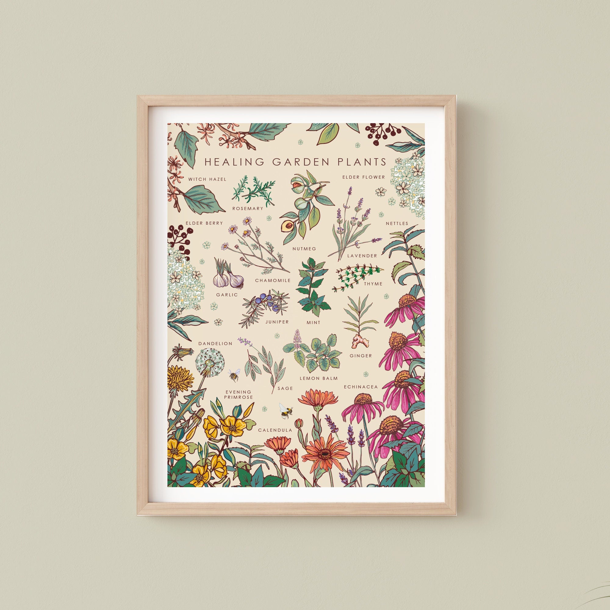Healing Garden Plants Nature Guide Wall Art Print