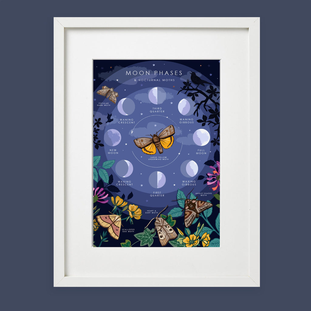 Moon Phases and Nocturnal Moths Nature Guide Print
