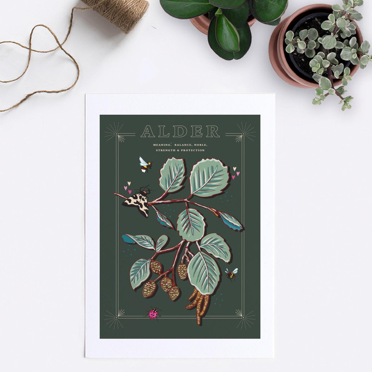 Alder Tree Wall Art Print
