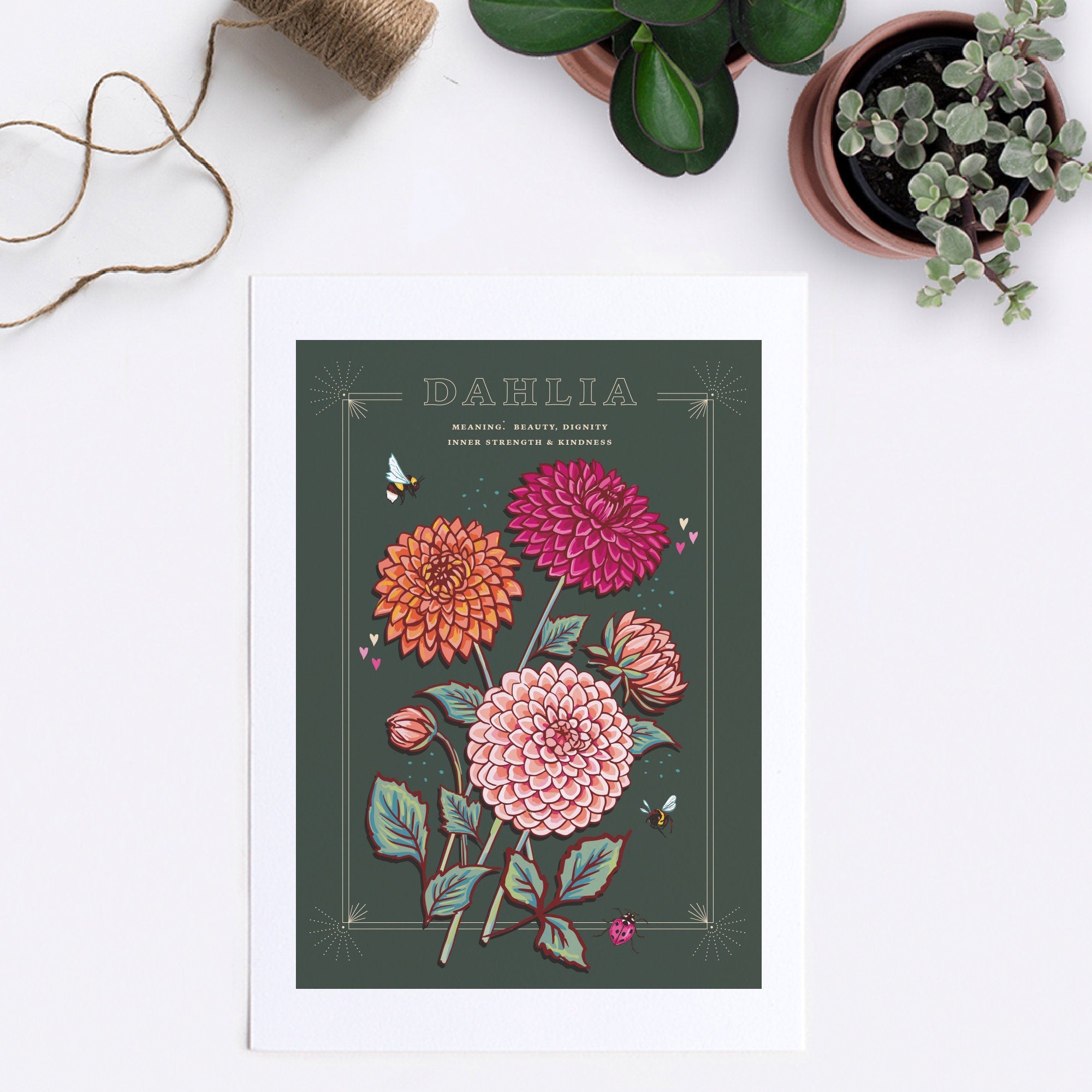 Dahlia Wall Art Print, Flower Meaning Illustration Print