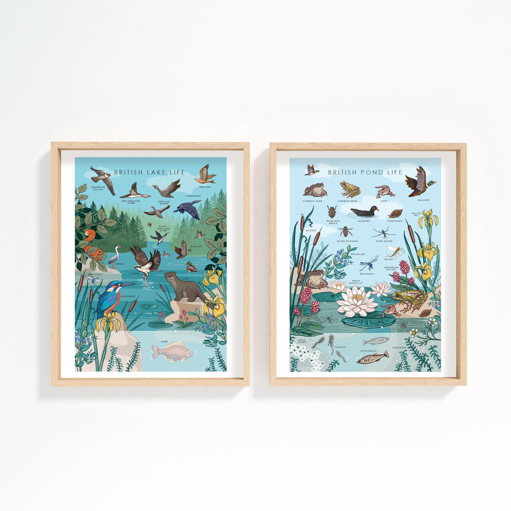 British Lake Wildlife Nature Guide Wall Art