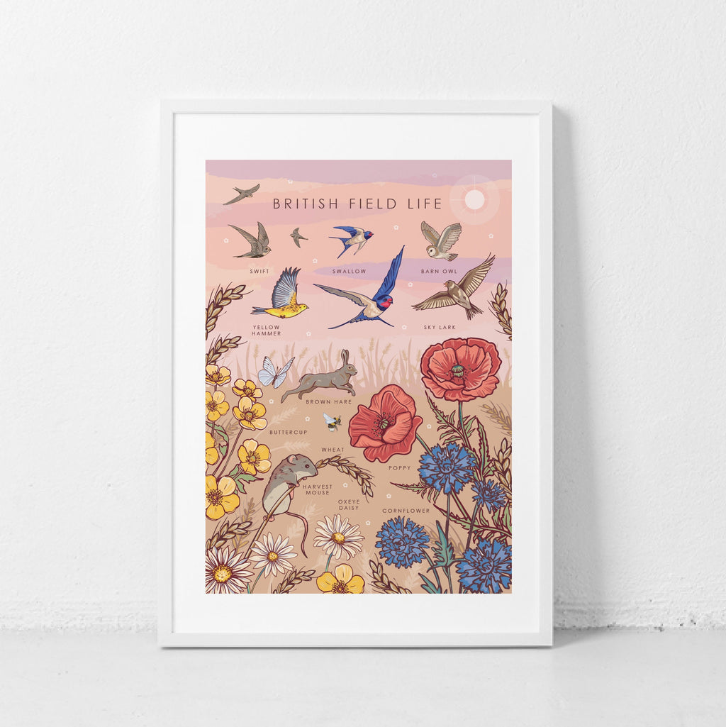 British Field Life Nature Guide Wall Art Print
