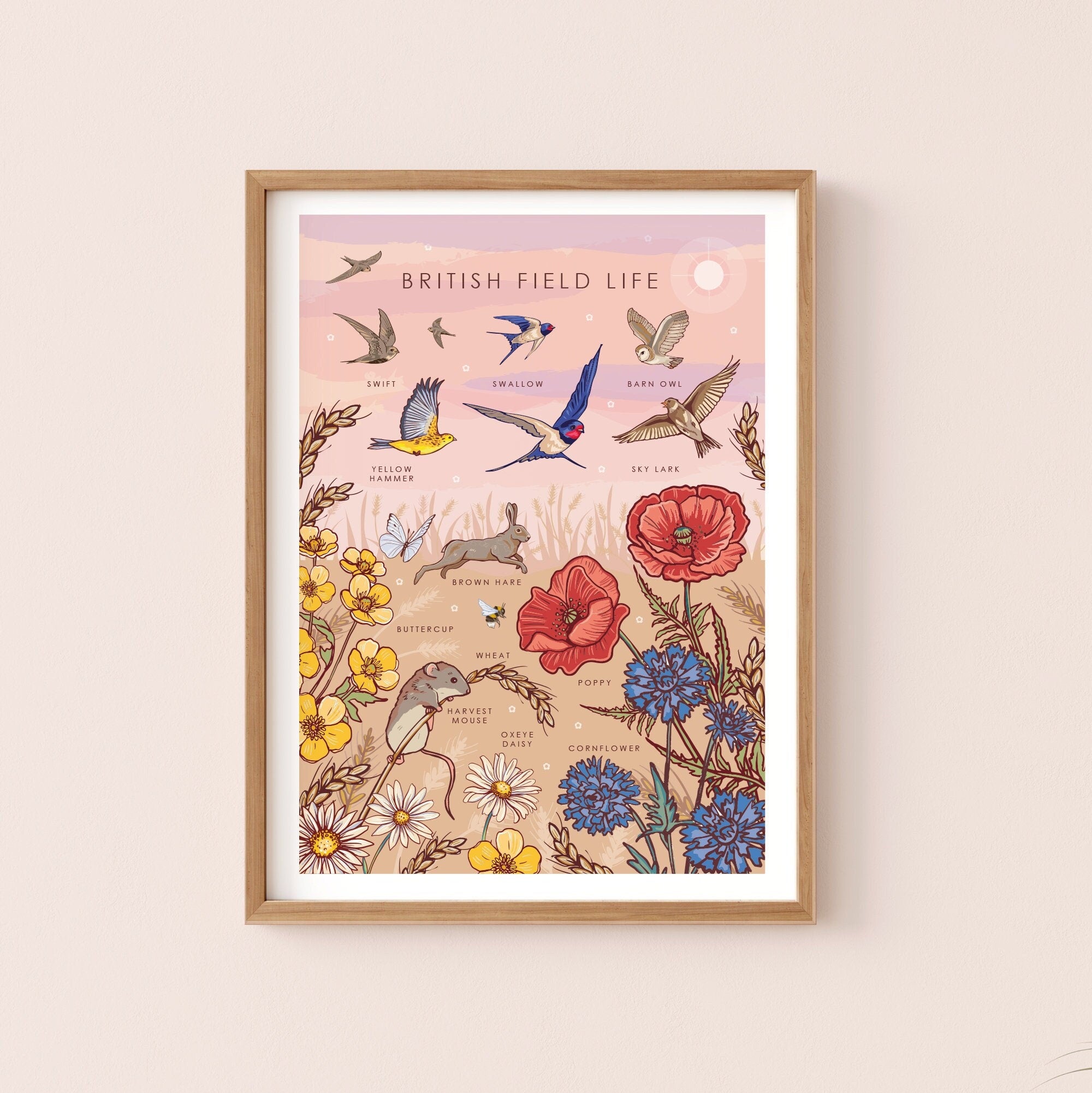 British Field Life Nature Guide Wall Art Print