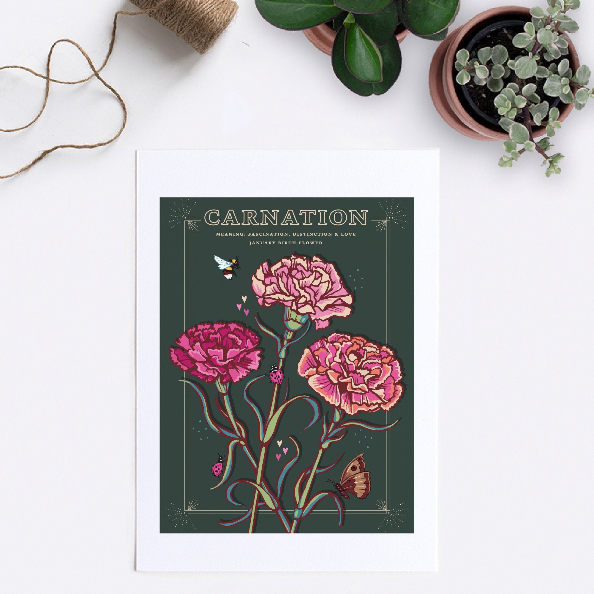 Carnations January Birth Flower Wall Art Print