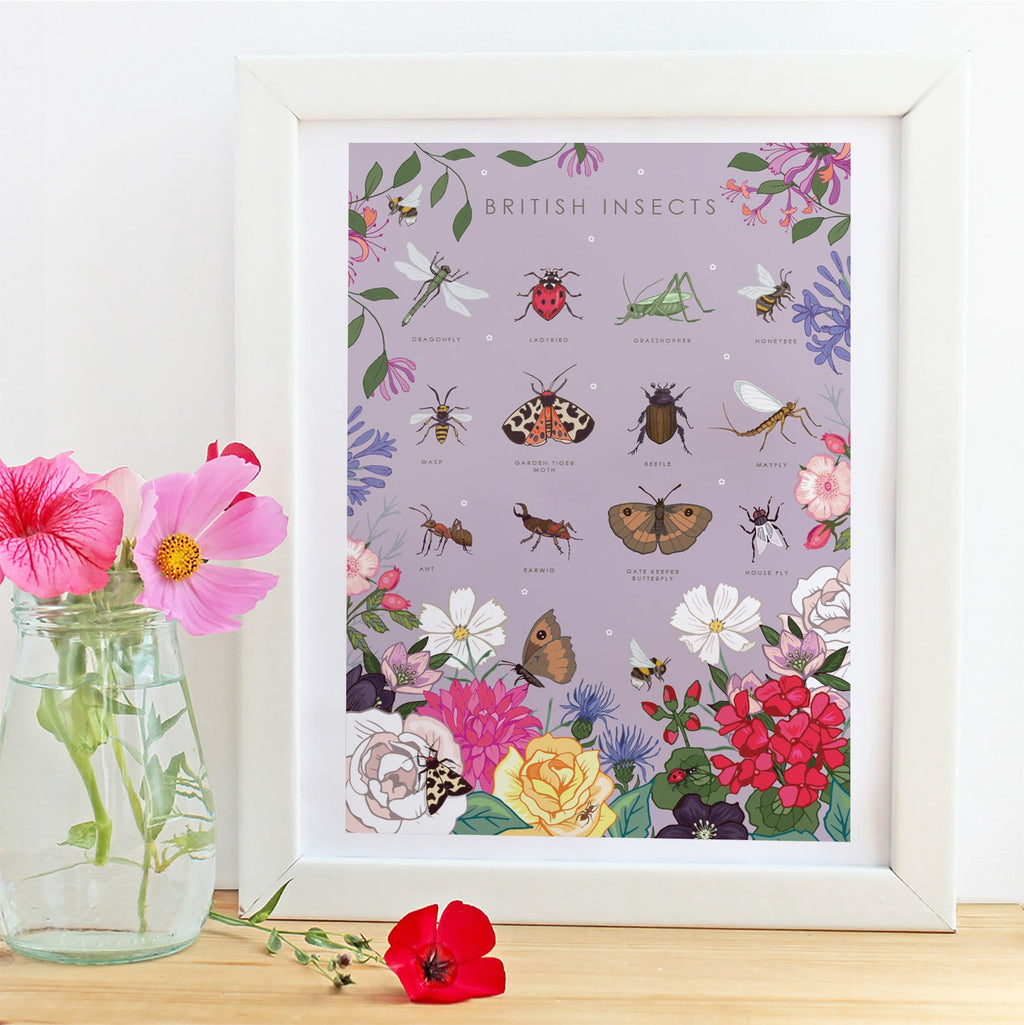 British Insects Nature Guide Wall Art Print