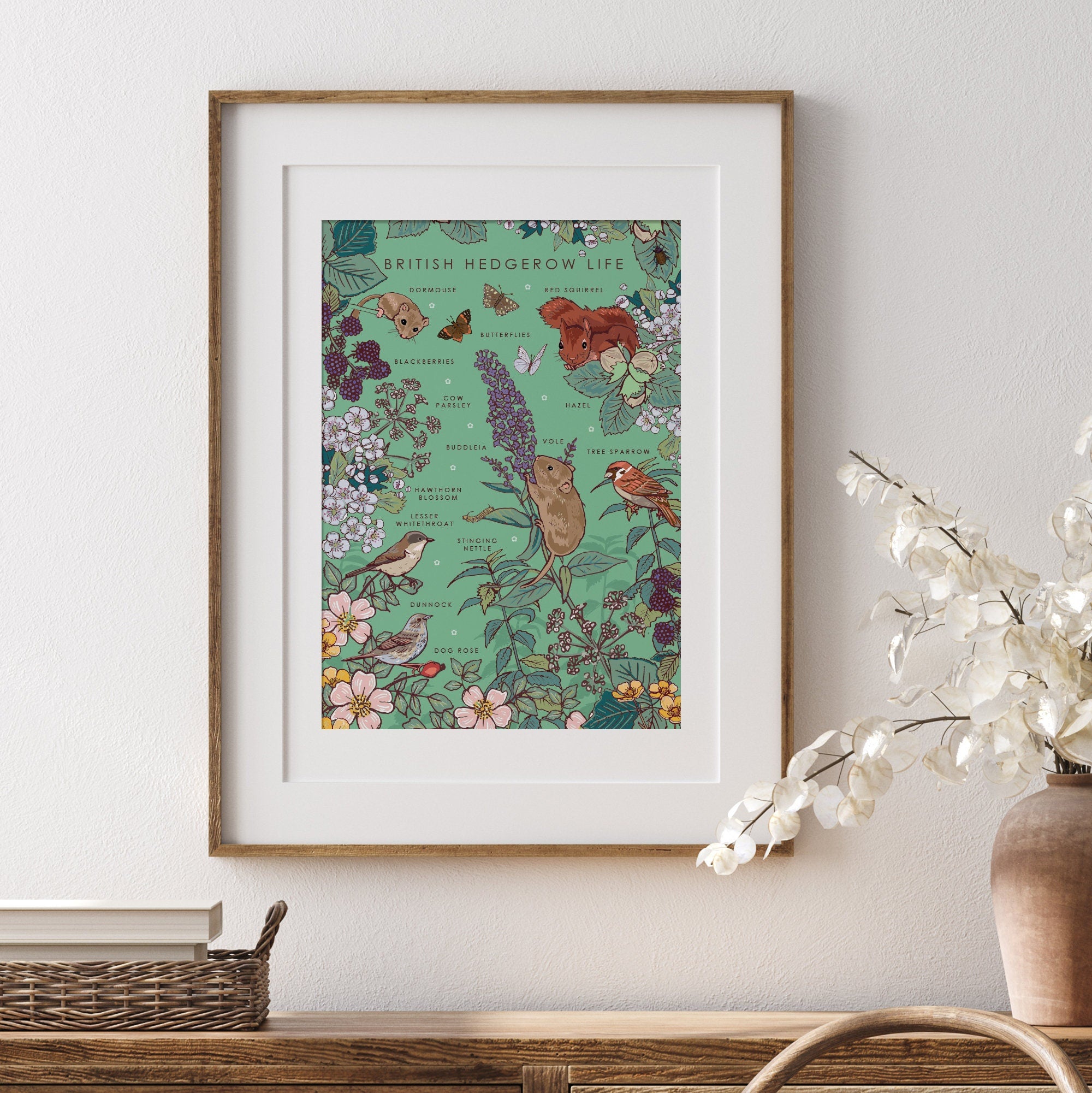 British Hedgerow Life Nature Guide Wall Art Print