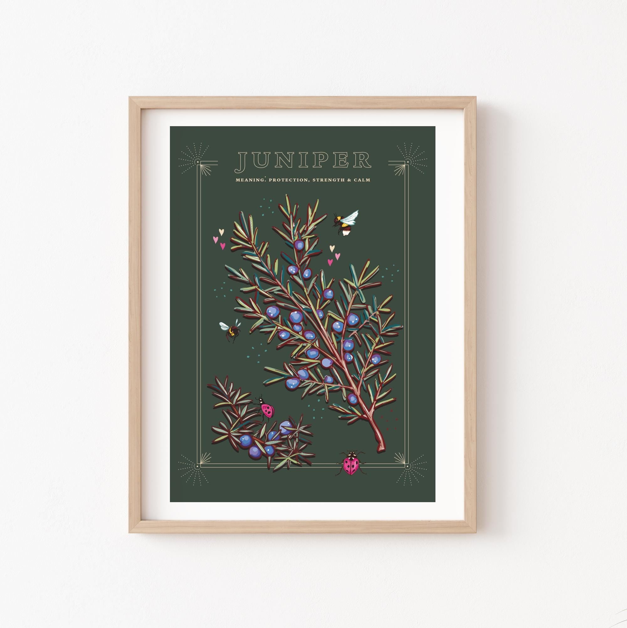 Juniper Wall Art Print, Plant Meaning Illustration Print