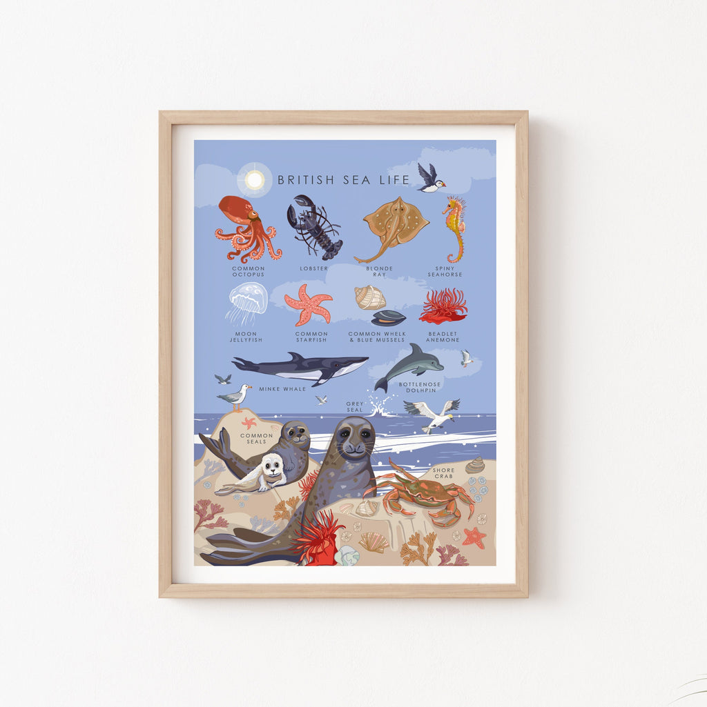 British Sea Life Nature Guide Wall Art