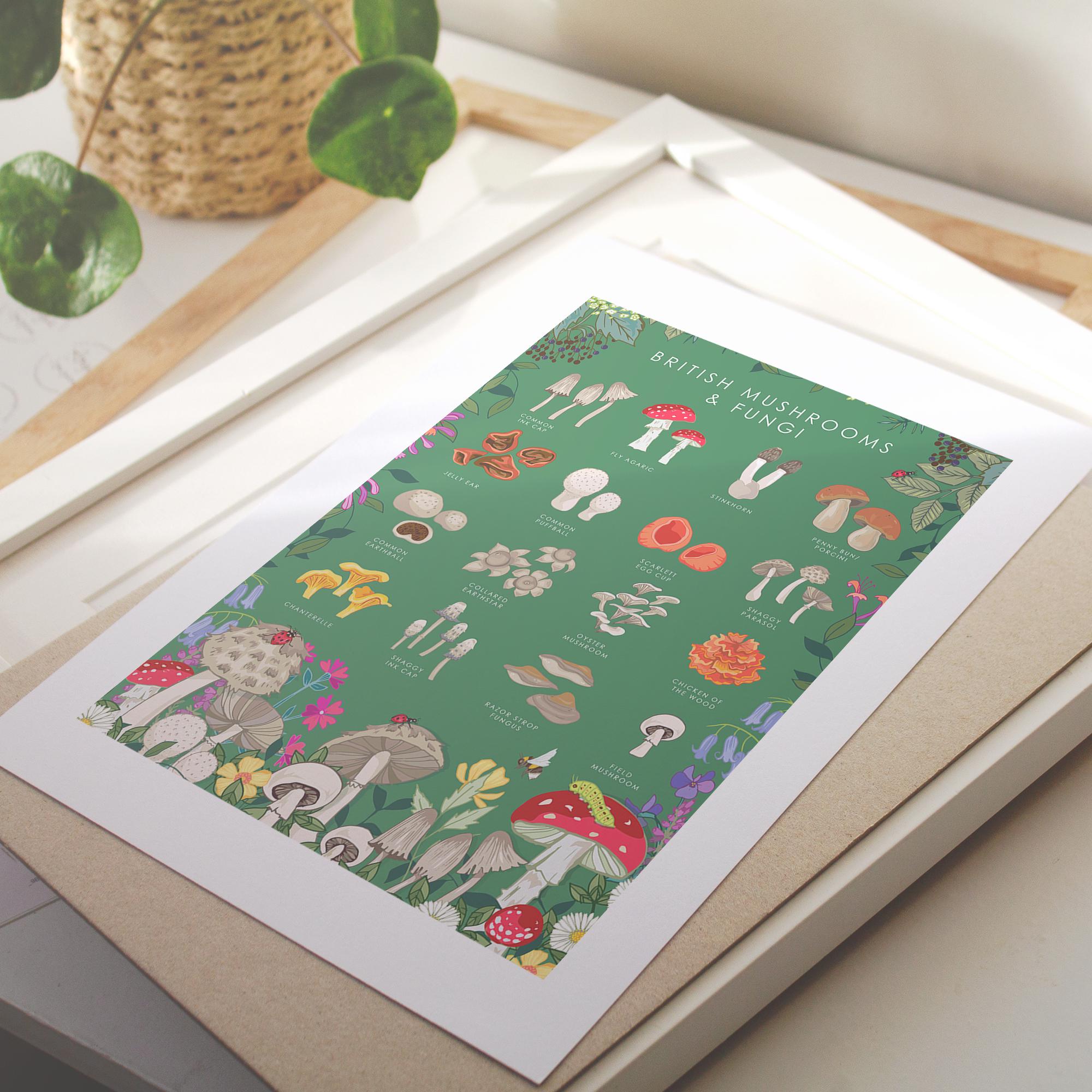 British Mushrooms and Fungi Nature Guide Wall Art Print