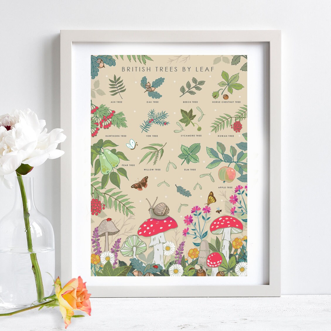 British Trees by Leaves Nature Guide Wall Art