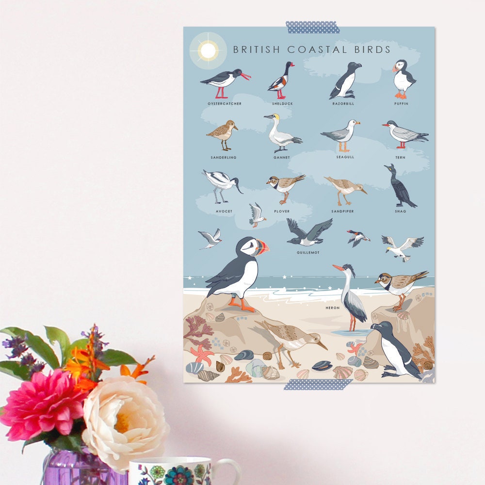 British Coastal Birds Art Print
