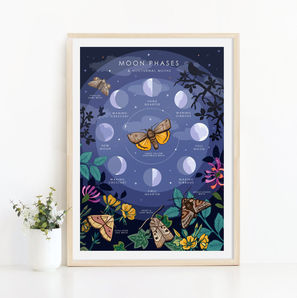 Moon Phases and Nocturnal Moths Nature Guide Print