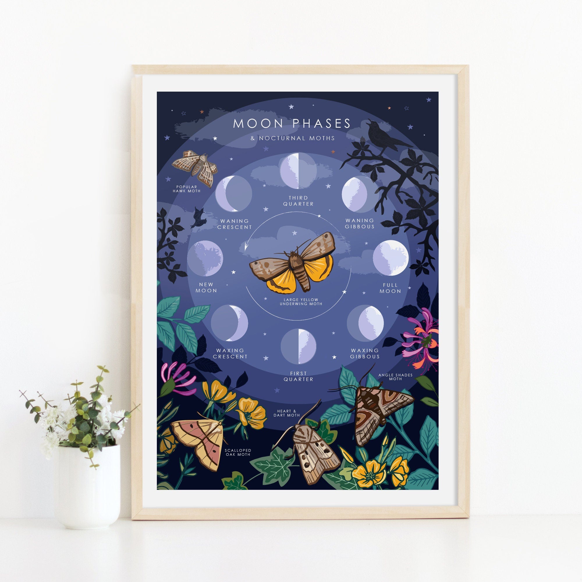 Moon Phases and Nocturnal Moths Nature Guide Print