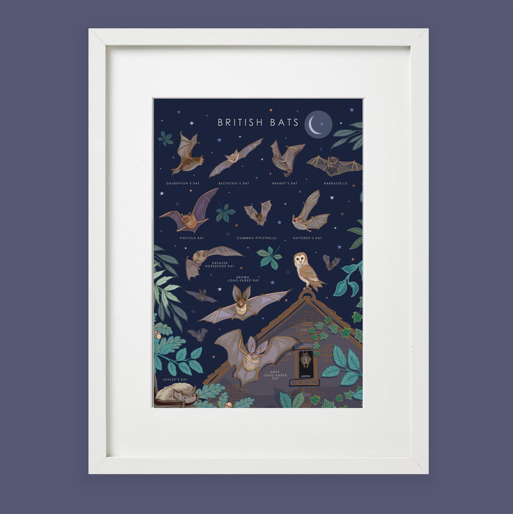 British Bats Nature Guide Wall Art