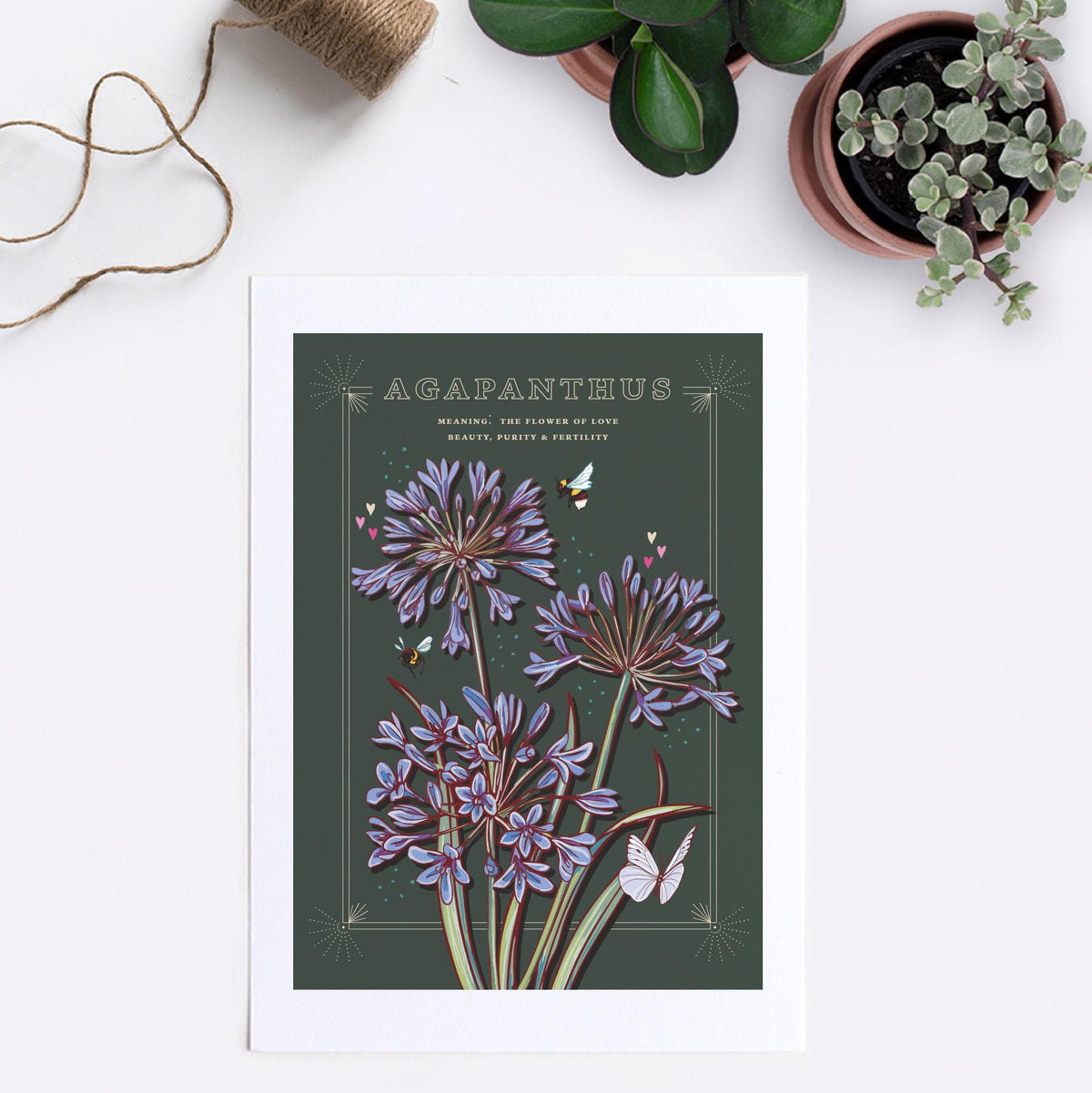 Agapanthus Wall Art Print, Flower Meaning Illustration Print