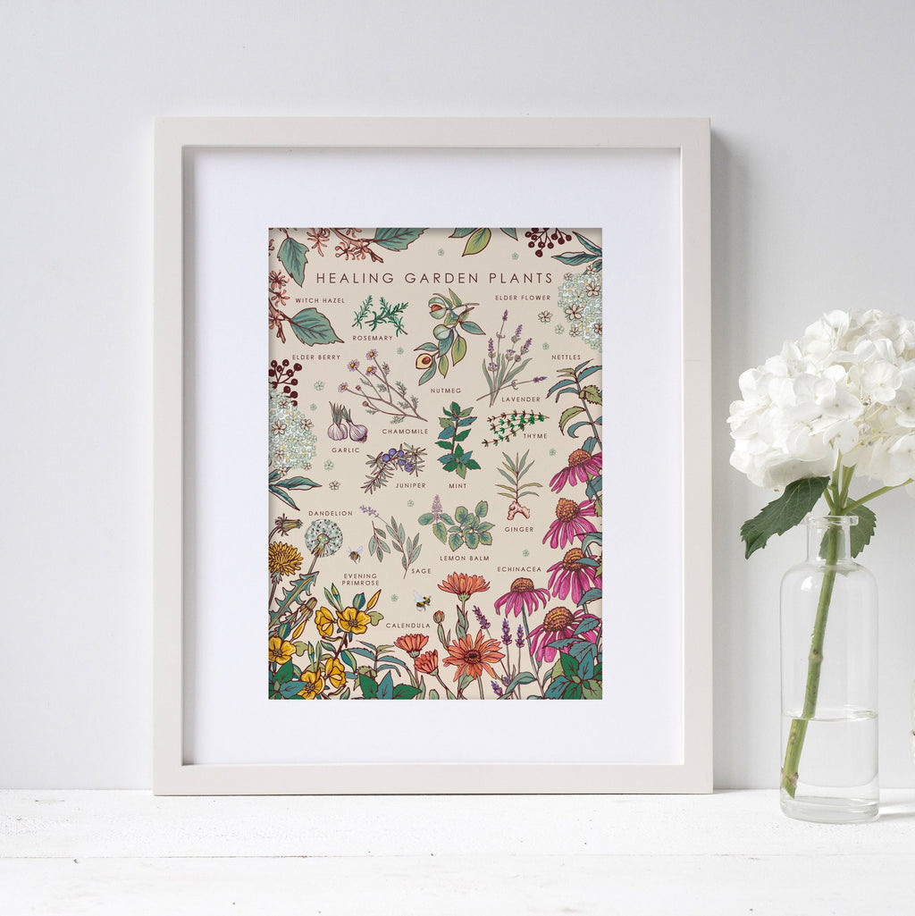 Healing Garden Plants Nature Guide Wall Art Print