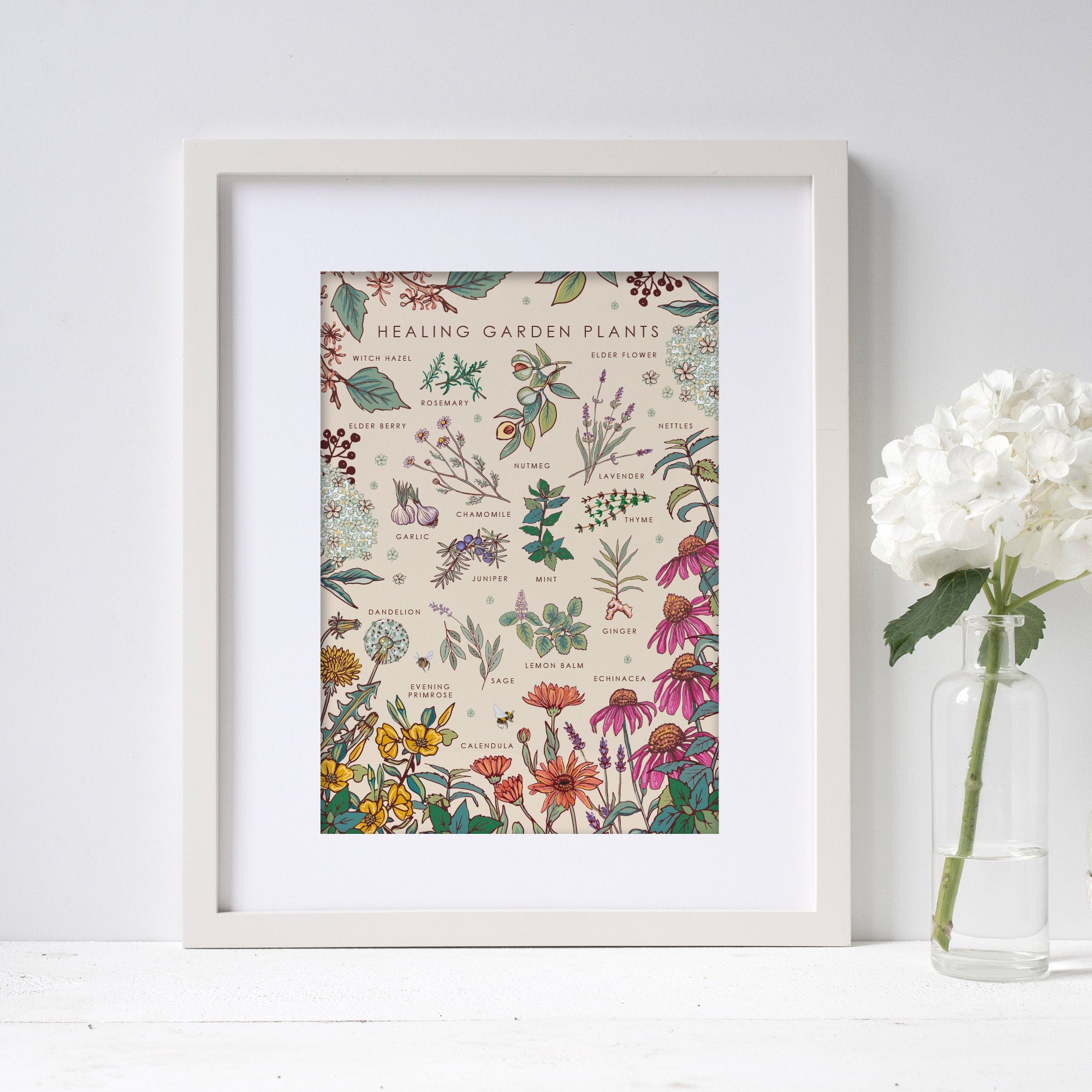 Healing Garden Plants Nature Guide Wall Art Print