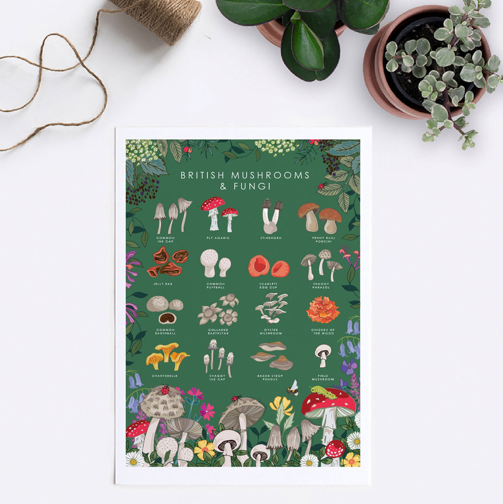 British Mushrooms and Fungi Nature Guide Wall Art Print