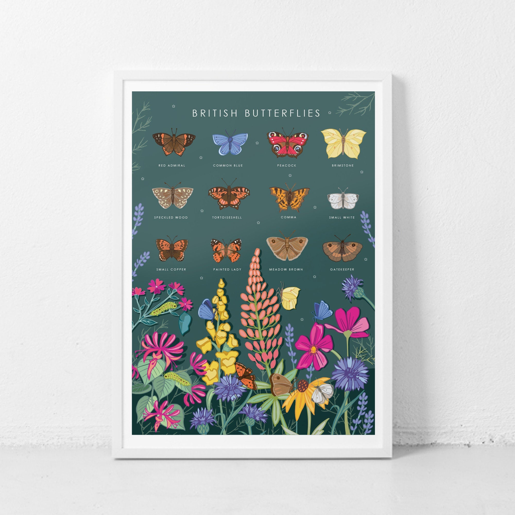 British Butterflies Nature Guide Wall Art Print