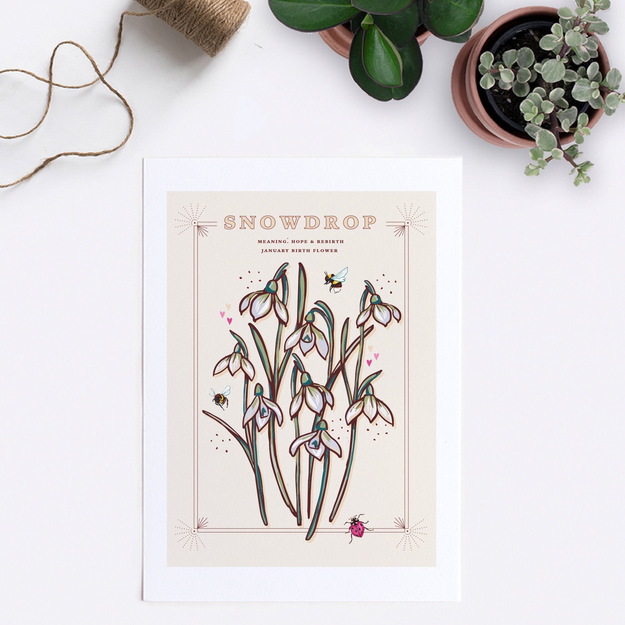 Snowdrops January Birth Flower Wall Art Print