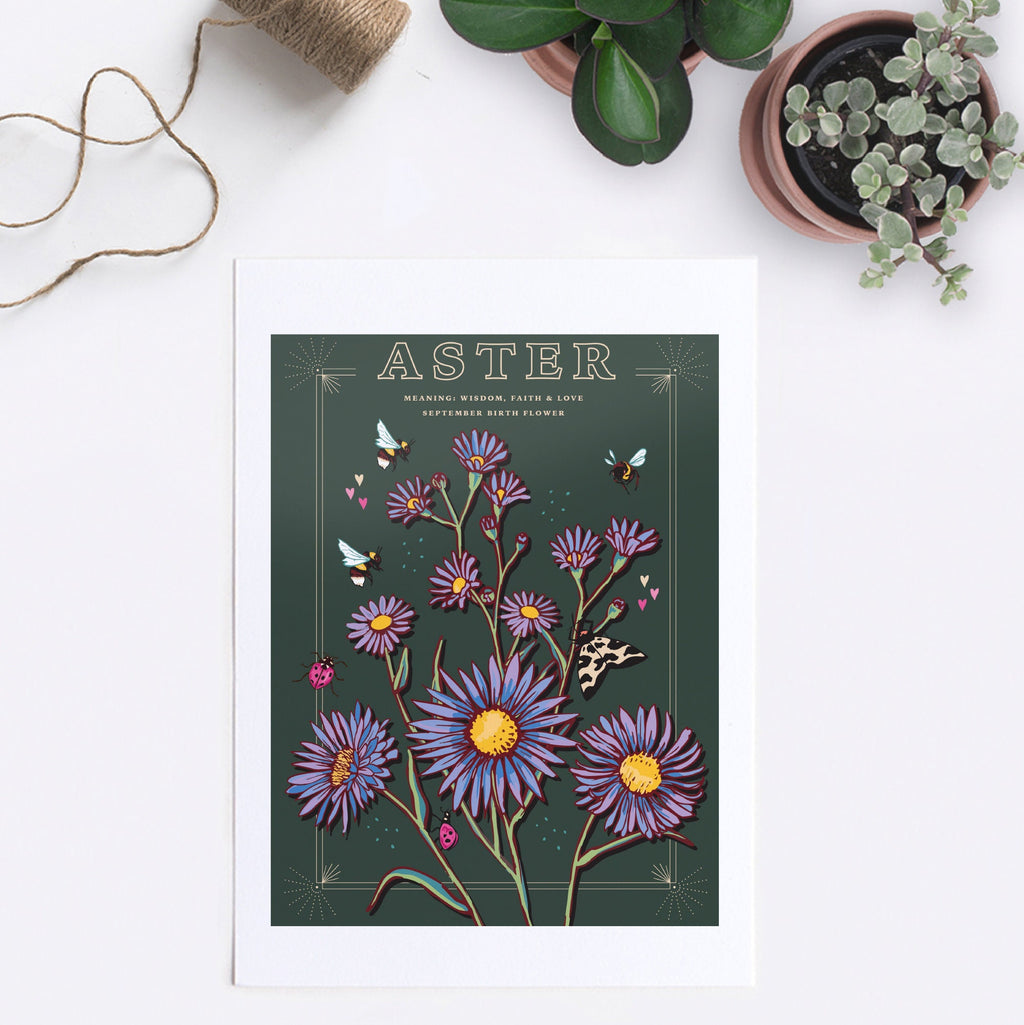 Aster September Birth Flower Wall Art Print
