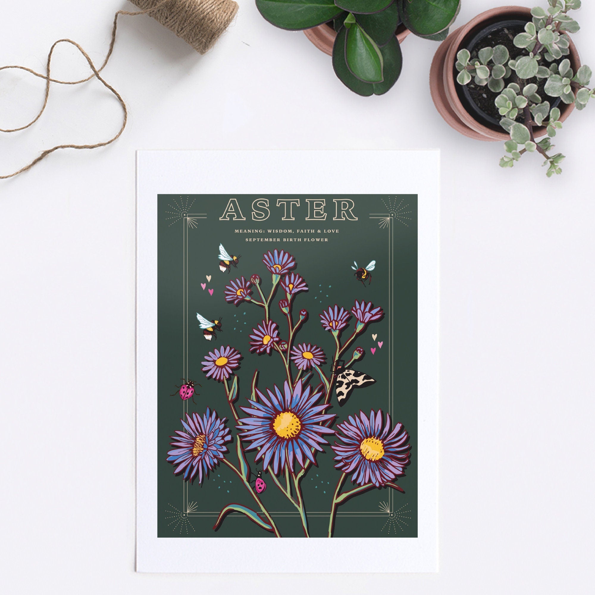 Aster September Birth Flower Wall Art Print
