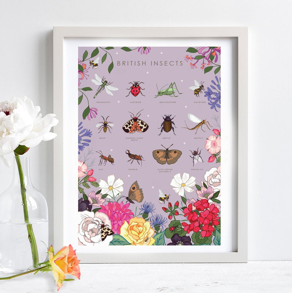 British Insects Nature Guide Wall Art Print