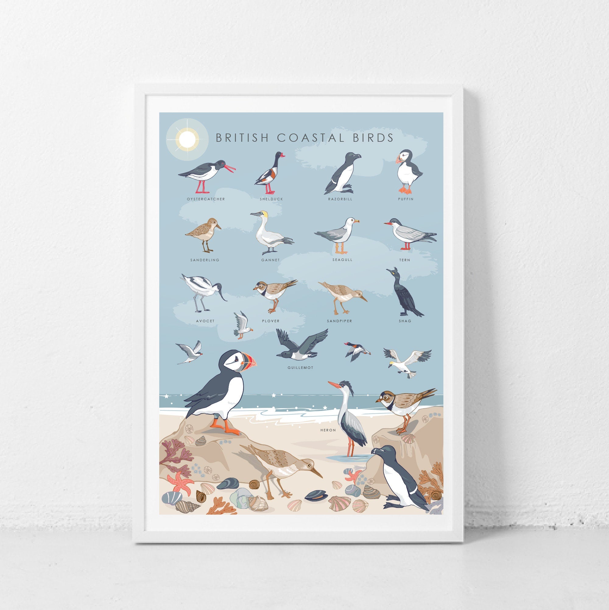 British Coastal Birds Art Print