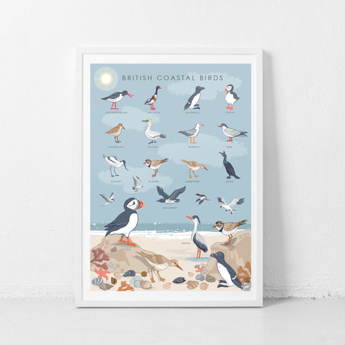 British Coastal Birds Art Print