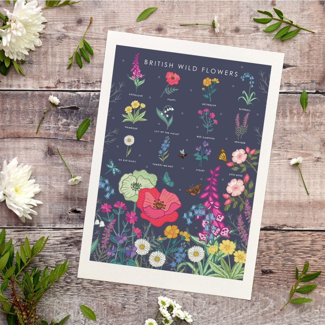 British Wildflowers Nature Guide Wall Art Print