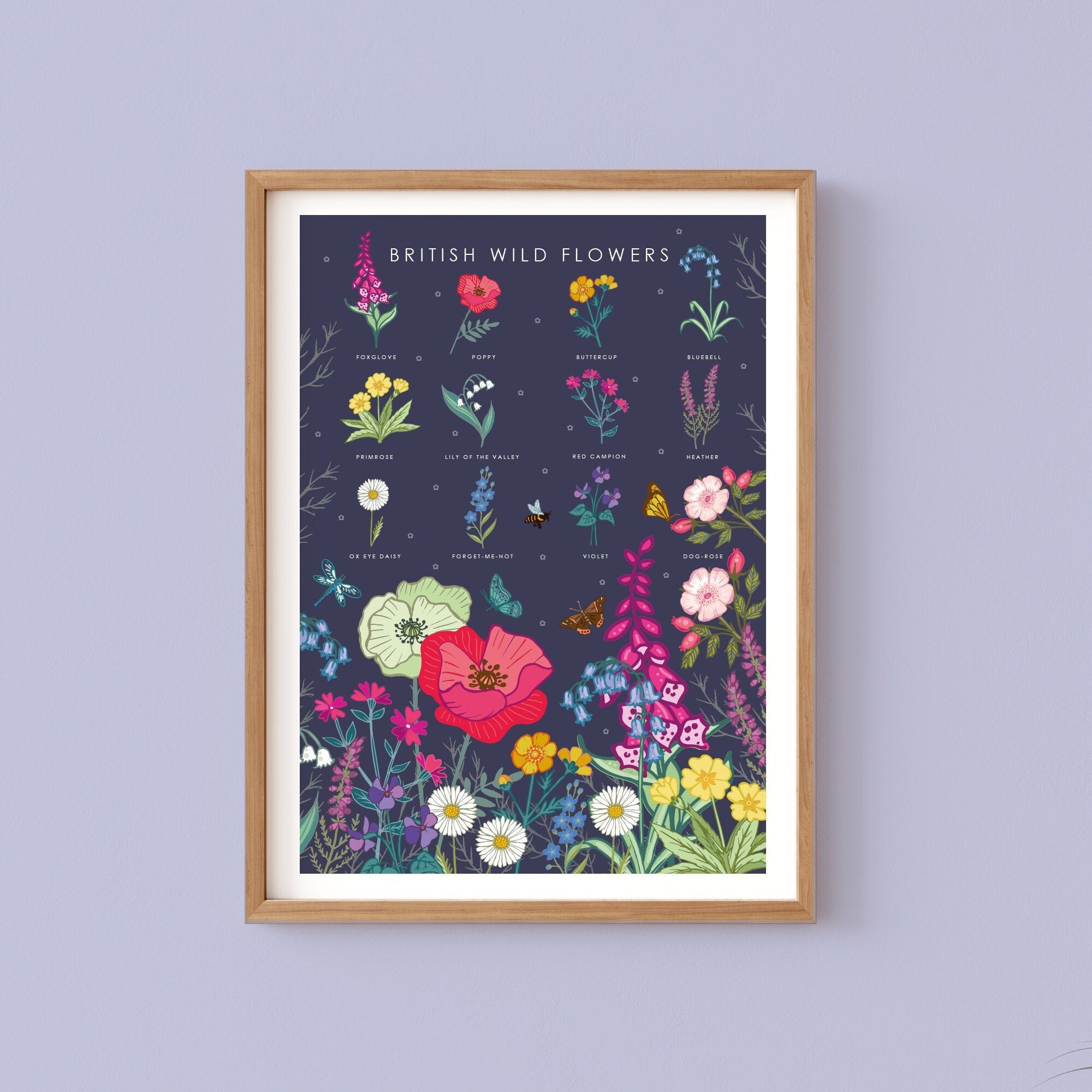 British Wildflowers Nature Guide Wall Art Print