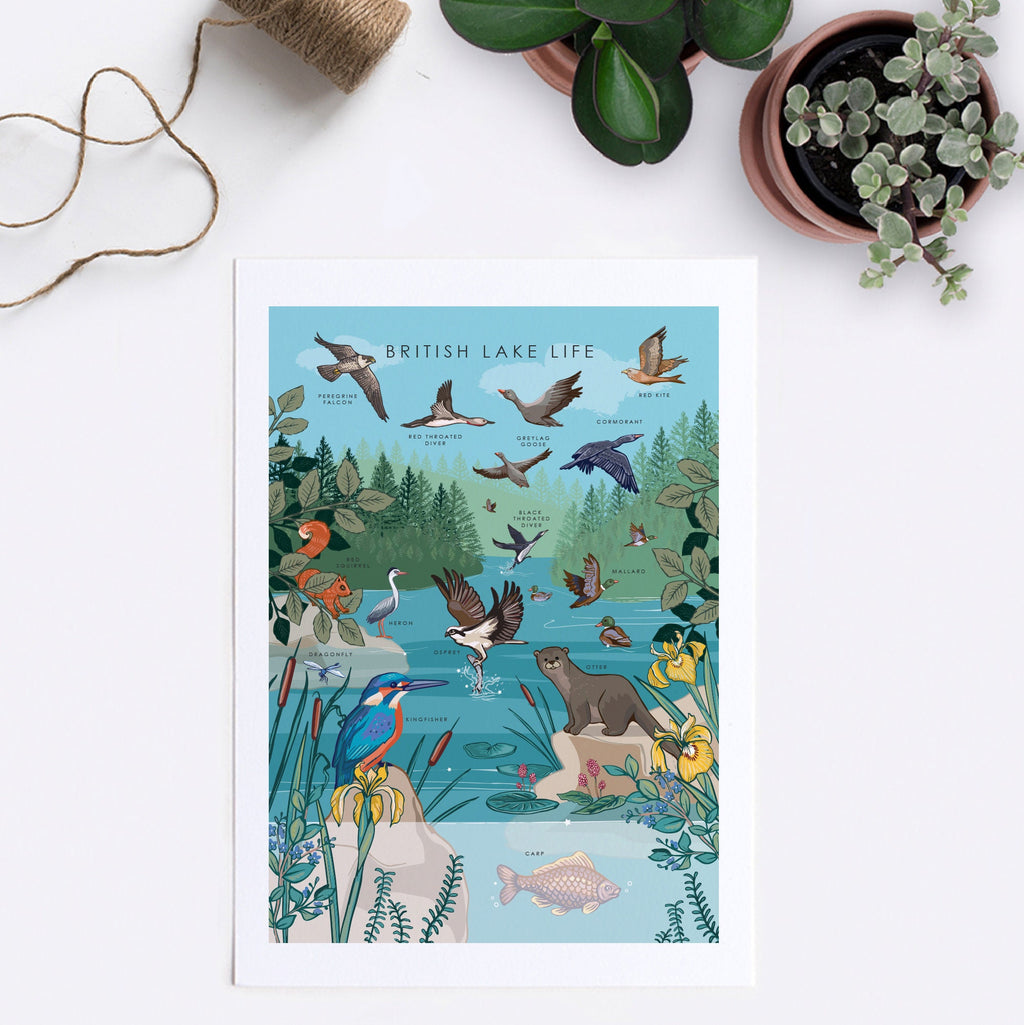 British Lake Wildlife Nature Guide Wall Art