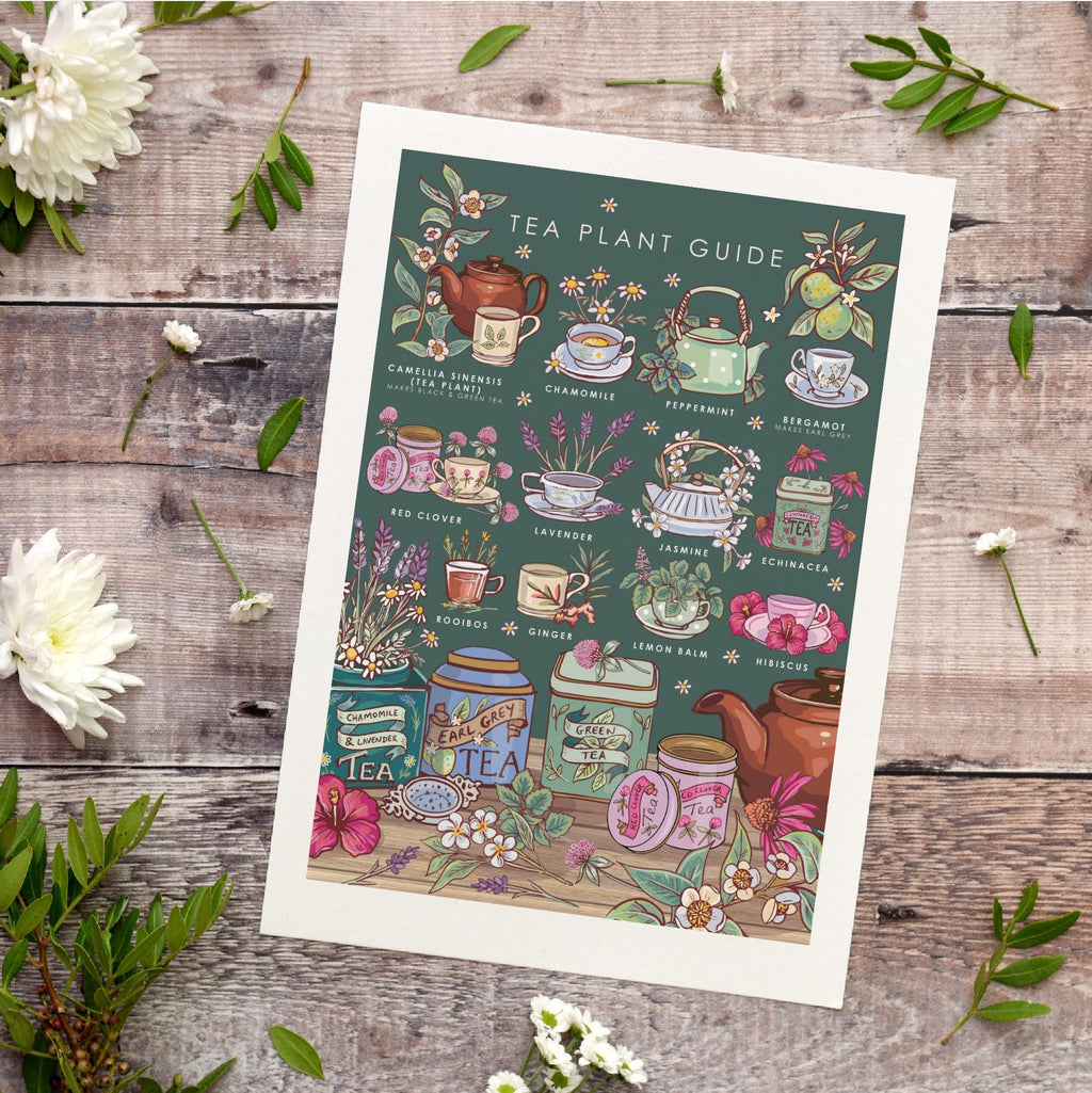 Tea Plants Nature Guide Wall Art Print