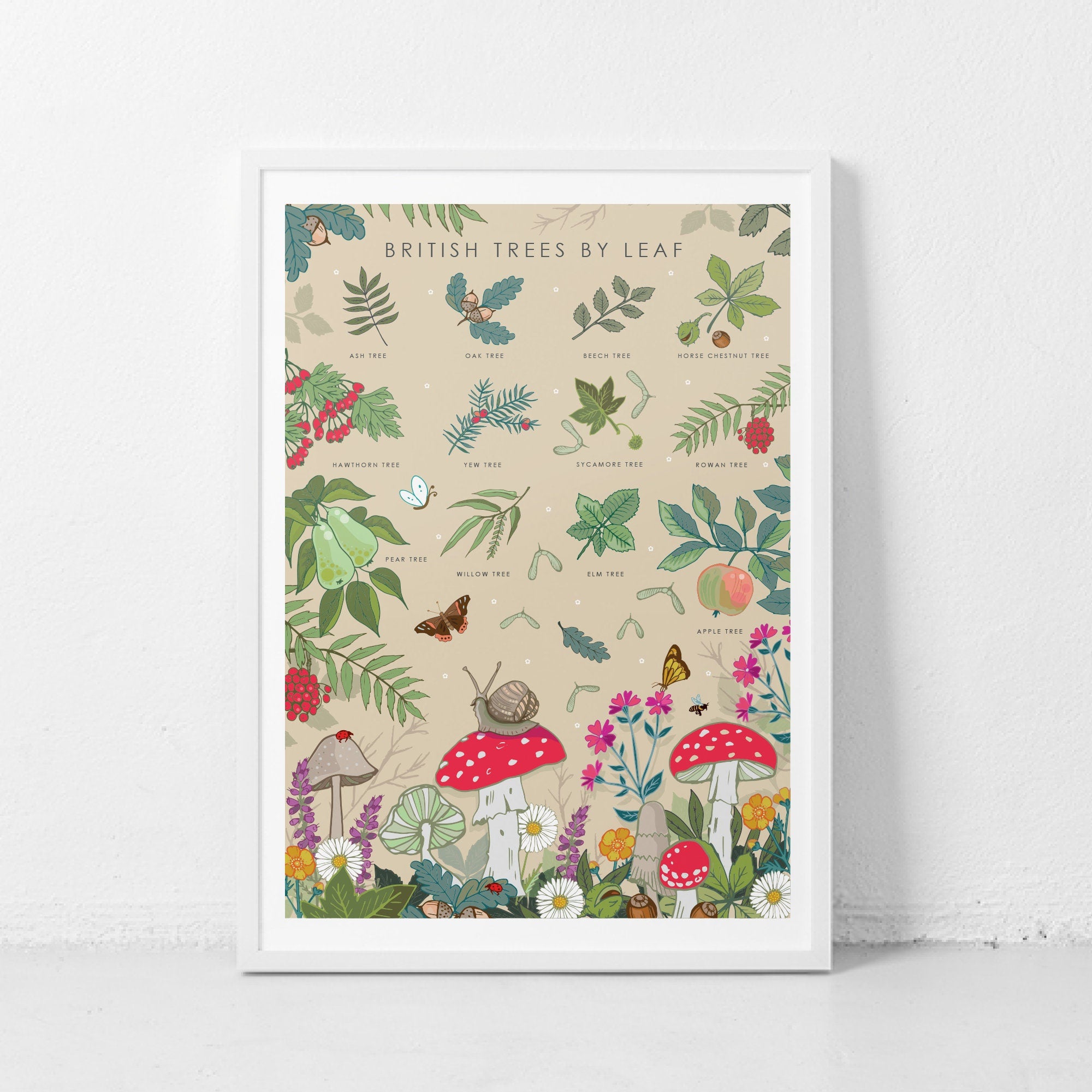 British Trees by Leaves Nature Guide Wall Art