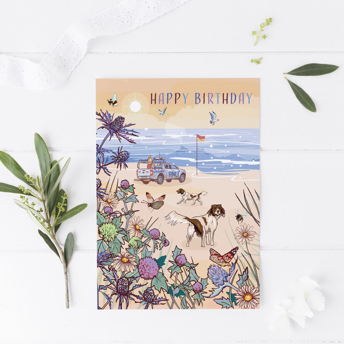 Coastal Bird Birthday Cards - Seaside Set of 3