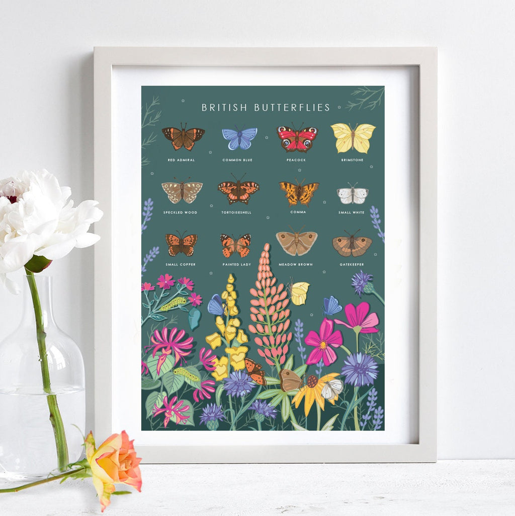 British Butterflies Nature Guide Wall Art Print