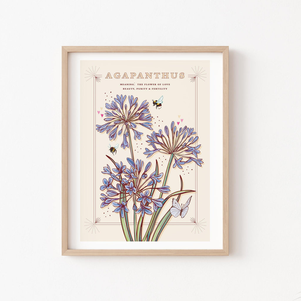 Agapanthus Wall Art Print, Flower Meaning Illustration Print