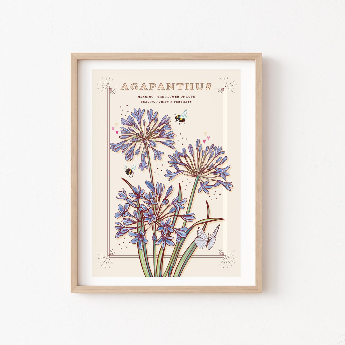 Agapanthus Wall Art Print, Flower Meaning Illustration Print