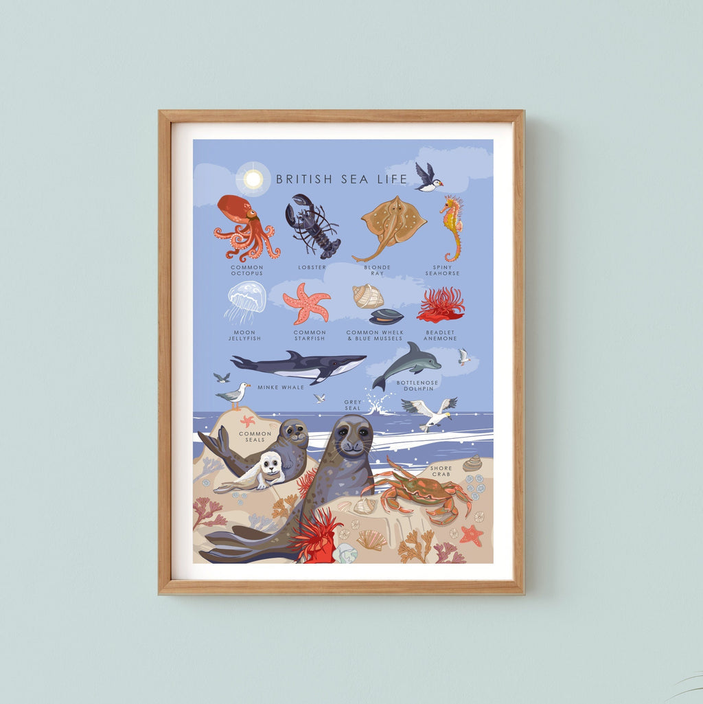 British Sea Life Nature Guide Wall Art