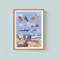 British Sea Life Nature Guide Wall Art