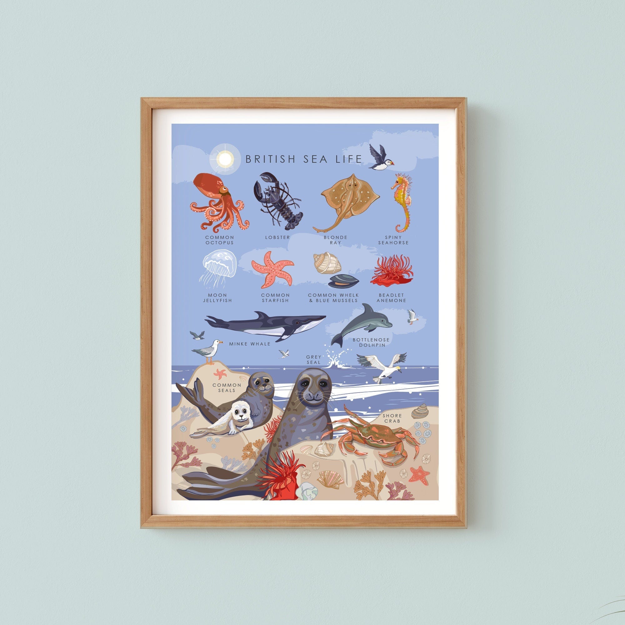 British Sea Life Nature Guide Wall Art