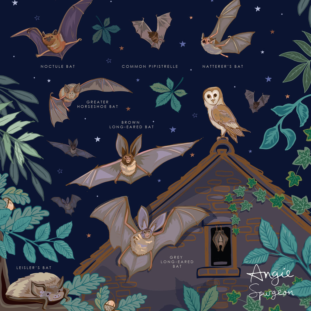 British Bats Nature Guide Wall Art