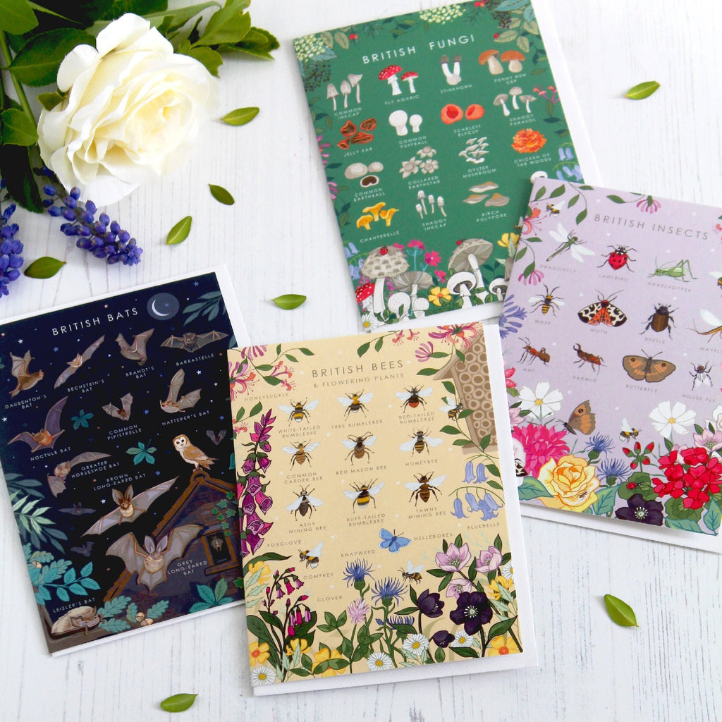 Set of 4 British Nature Guide Cards,  Bees, Insects, Fungi, Bats