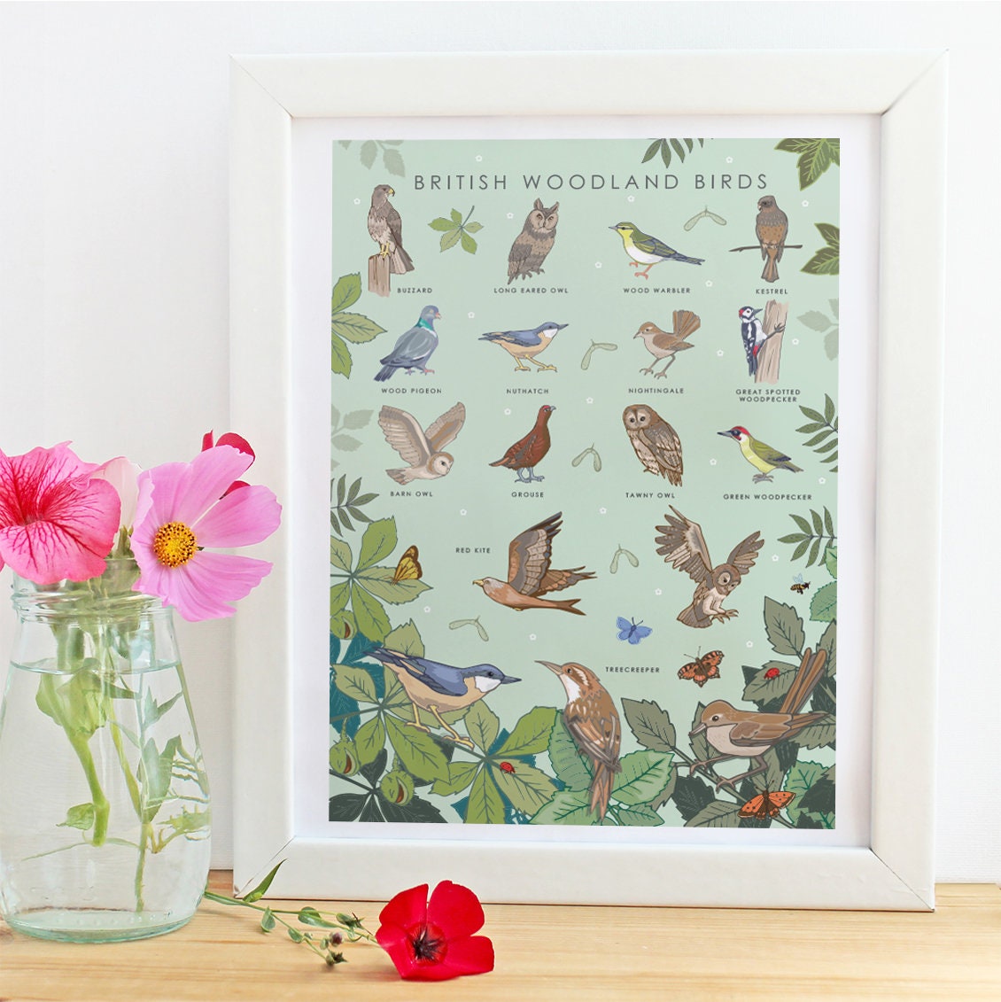 British Woodland Birds Nature Guide Wall Art Print
