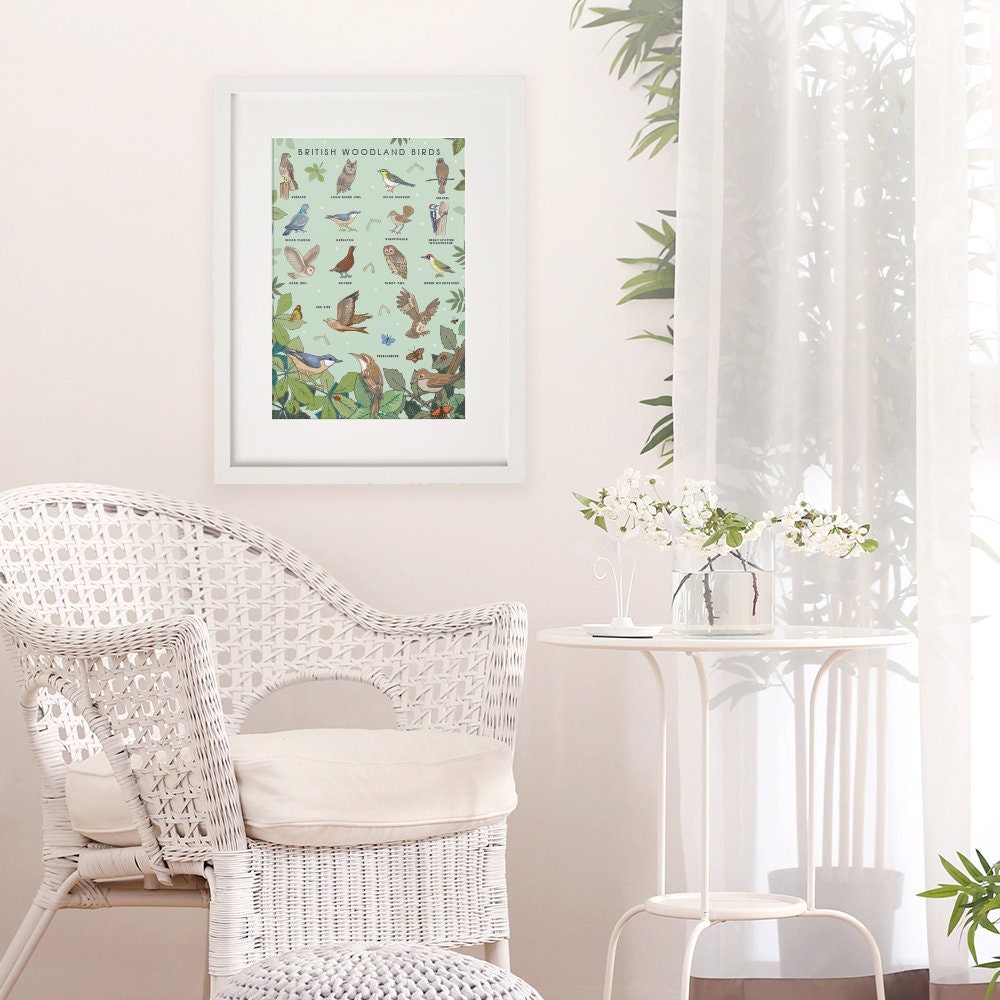 British Woodland Birds Nature Guide Wall Art Print