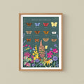 British Butterflies Nature Guide Wall Art Print