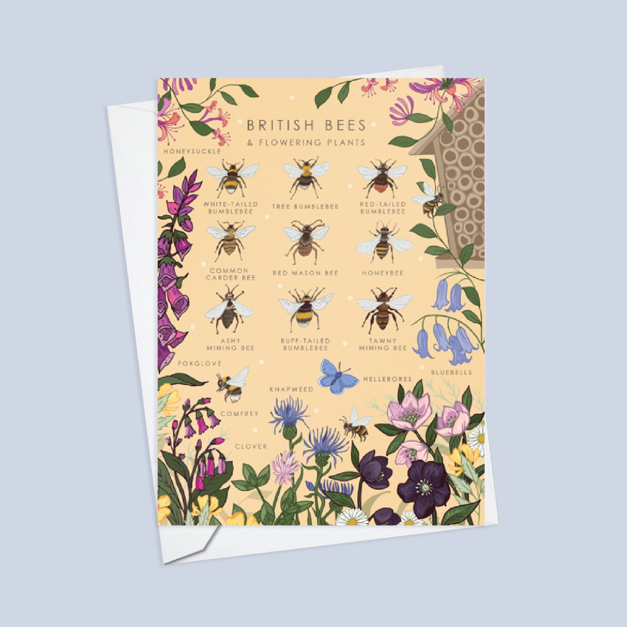 Set of 4 British Nature Guide Cards,  Bees, Insects, Fungi, Bats