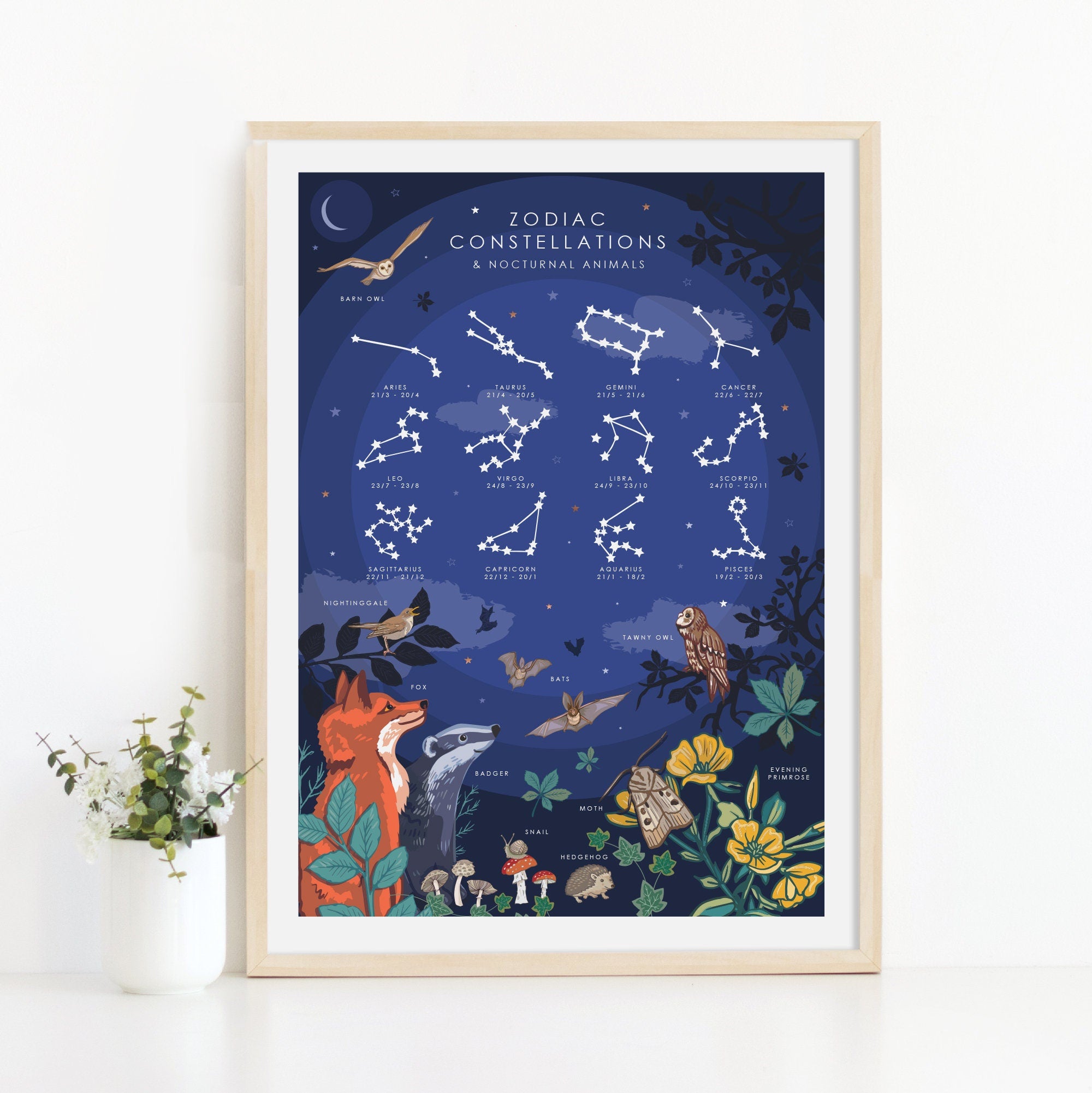 Zodiac Constellations Print and Nocturnal Animals Nature Guide Wall Art Print