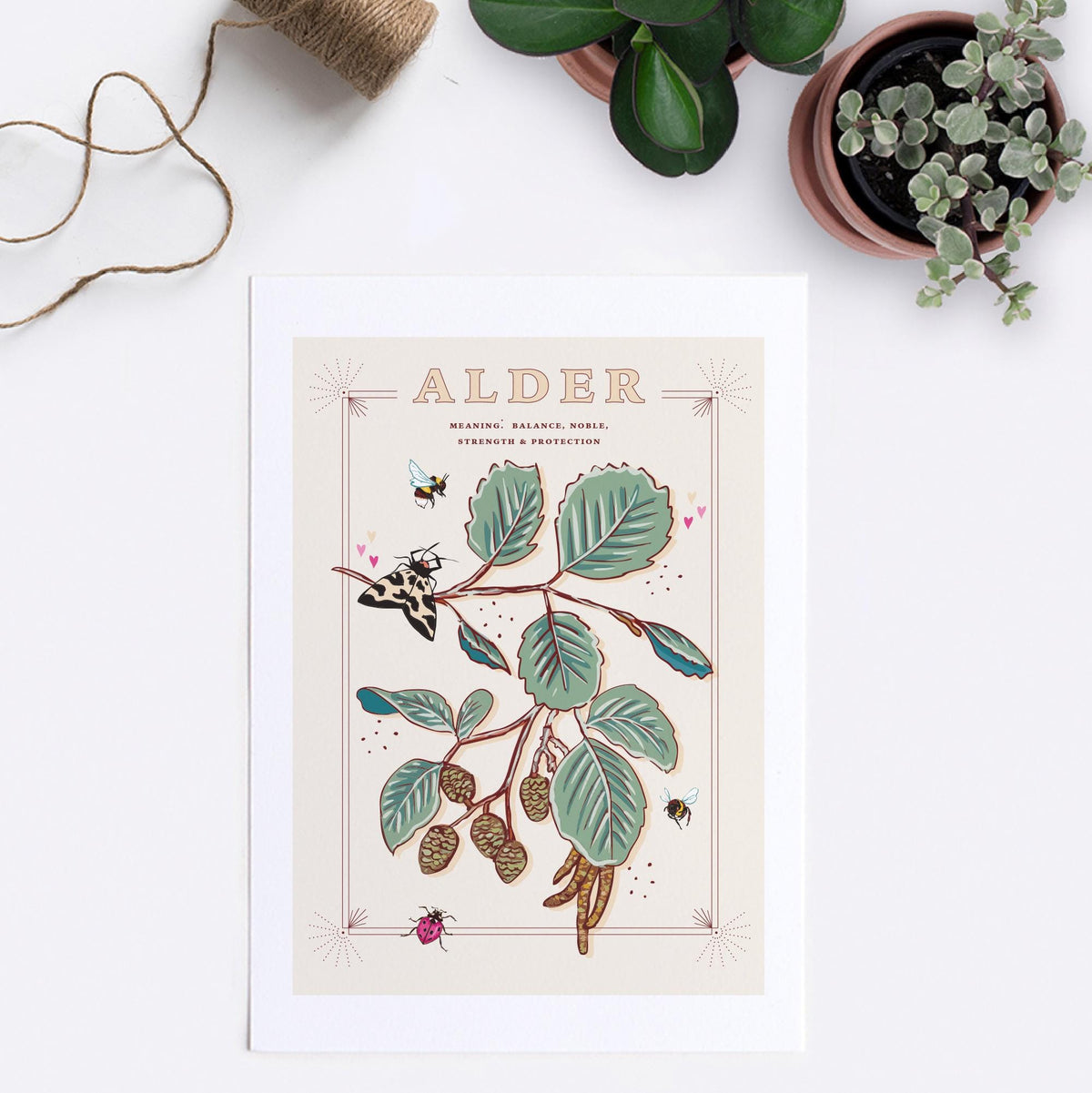 Alder Tree Wall Art Print
